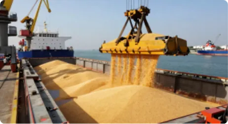 Sea Agri-Resources